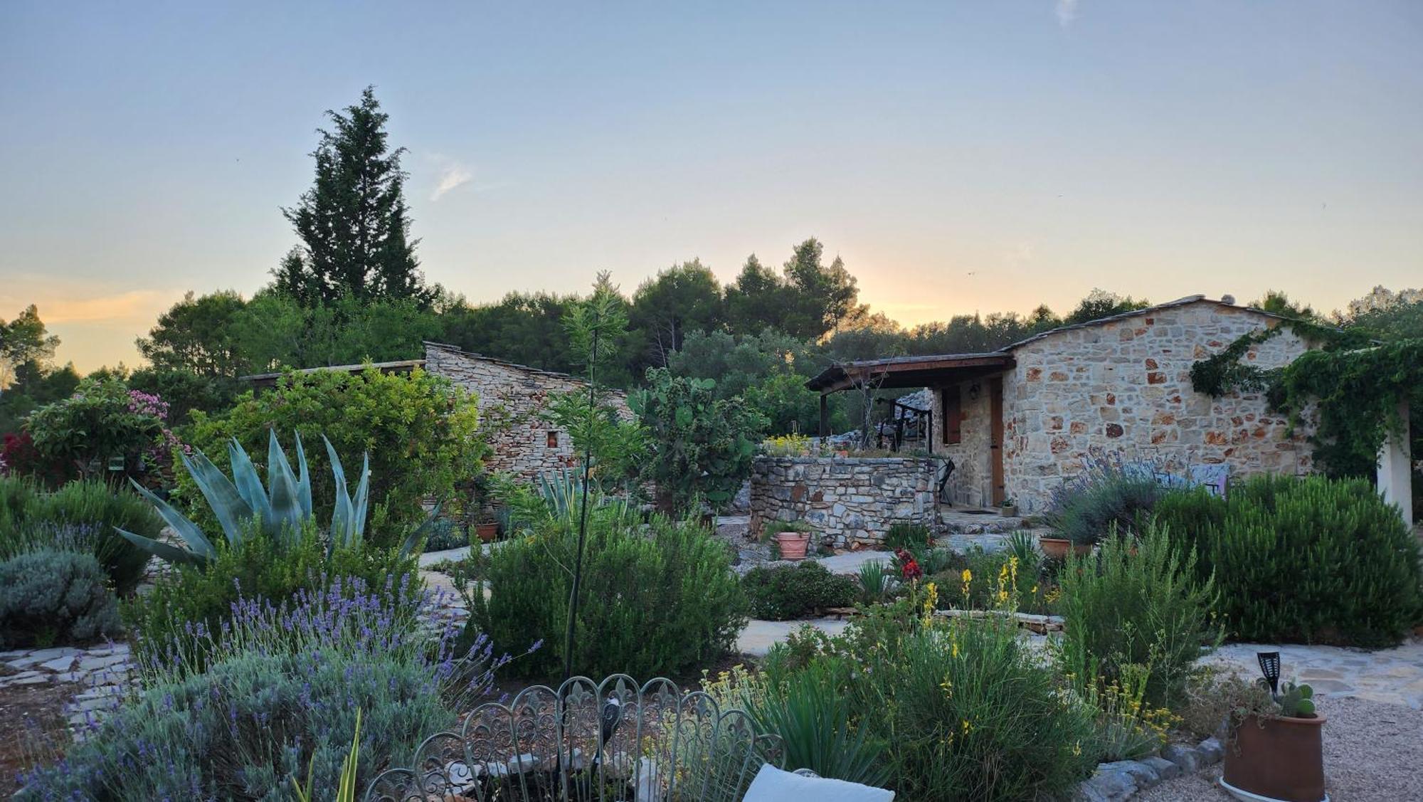 Villa Oxa Dreamland Stari Grad  Exterior photo