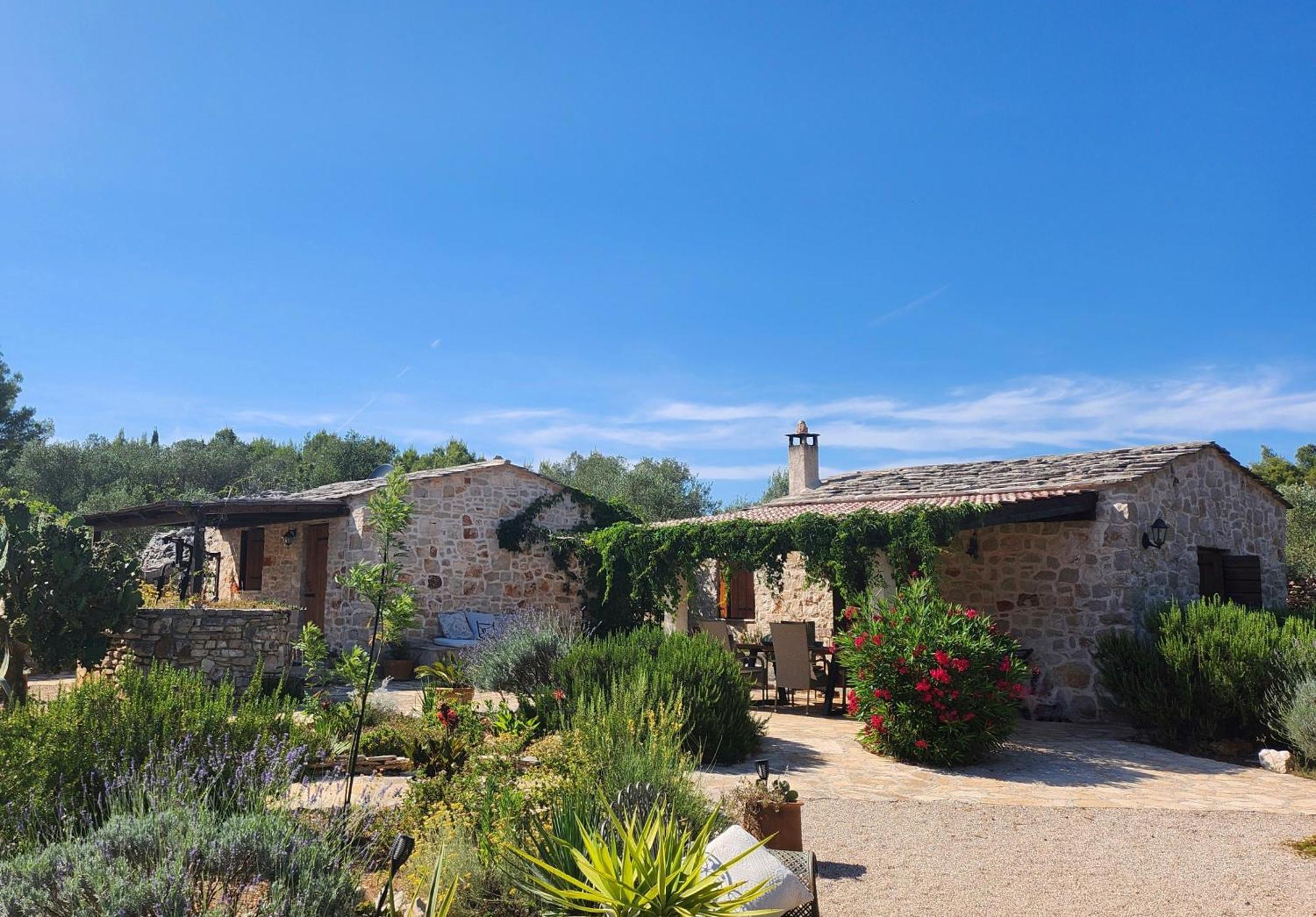Villa Oxa Dreamland Stari Grad  Exterior photo