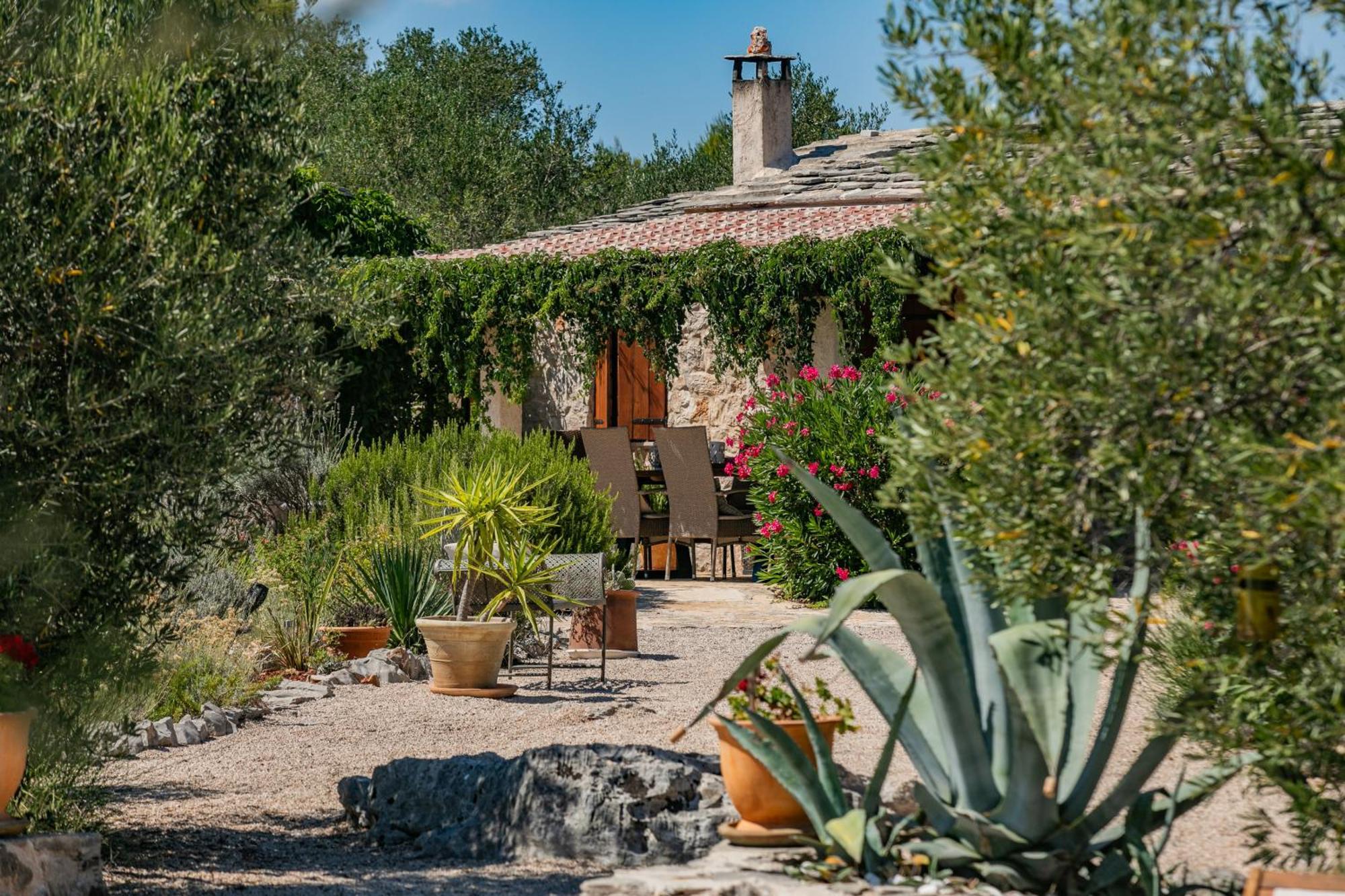 Villa Oxa Dreamland Stari Grad  Exterior photo