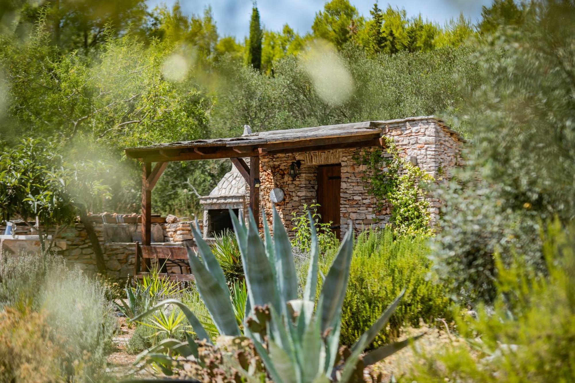 Villa Oxa Dreamland Stari Grad  Exterior photo